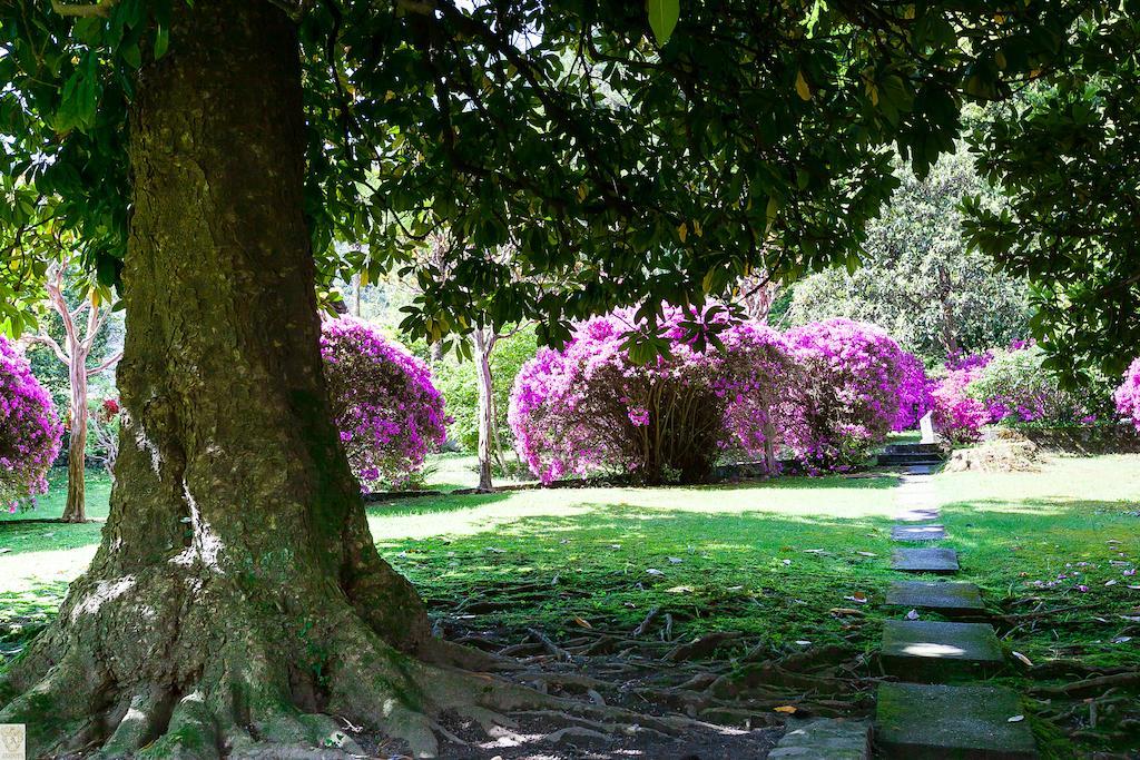 Hotel Villa E Palazzo Aminta Stresa Exteriér fotografie